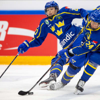 Ruotsin naisten jääkiekkomaajoukkue