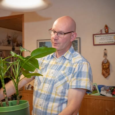 Puutarhuri Marko Ahola onnistuu kuulemma itsekin kukistamaan kasvin silloin tällöin.