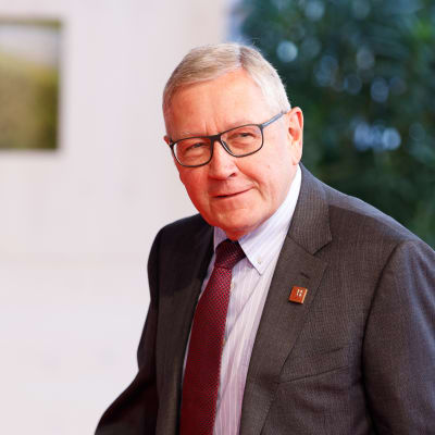 Klaus Regling, EVM