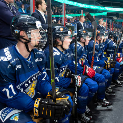 Nuoret Leijonat