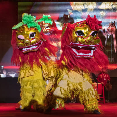 Tanssijoista lavalla Helsingissä kiinalaisen uudenvuoden juhlissa 2019