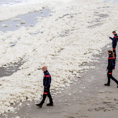 Alankomaiden puolustuministeriön sukeltajia etsimässä viidennen surffarin ruumista Scheveningenissä 14. toukokuuta. 