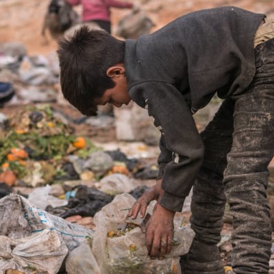 Syyrialaispoika kerää syötävää