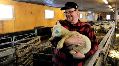 Fårfarmare Fredric Bränn inne i fårgården med ett lamm i famnen 