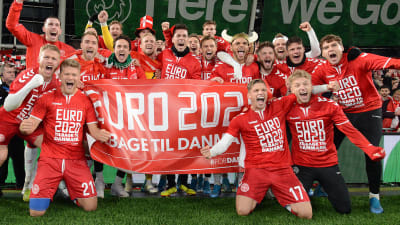 Danmarks herrlandslag i fotboll firar EM-plats med lagbild.