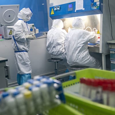Personer iklädda skyddsutrustning hanterar coronaprov i ett laboratorium i Wuhan, Kina.