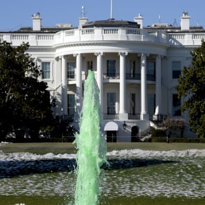 Vita huset den 17 mars 2017. Vattnet i fontänen är grönt för att fira r St. Patrick's Day.
