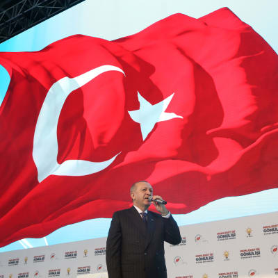 Turkin presidentti Recep Tayyip Erdogan puhuu mikrofoniin, hänen yläpuolellaan liehuu maan lippu.