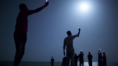 World Press Photo of the Year 2013. Afrikanska migranter i Djibouti försöker nå en mobilsignal från Somalia där priserna är billigare.