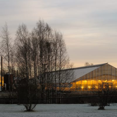Västhus i Övermark.