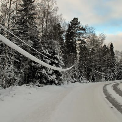 Snötyngda elledningar längs Hummeljutsvägen i Pedersöre.