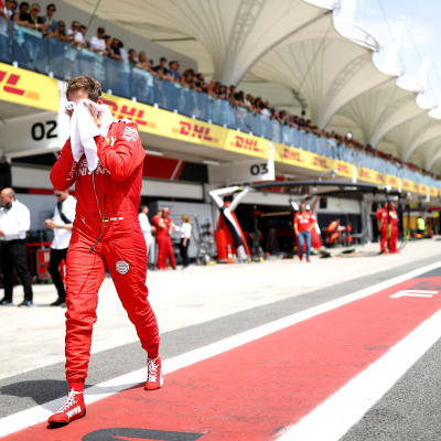 Sebastian Vettel, Braslia 2019. Kisa päättyi keskeytykseen, kolari Leclercin kanssa.