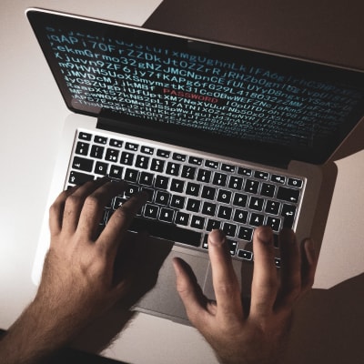 Bilden visar två händer som skriver på en bärbar dator. 