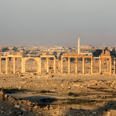 Den historiska staden Palmyra i Syrien