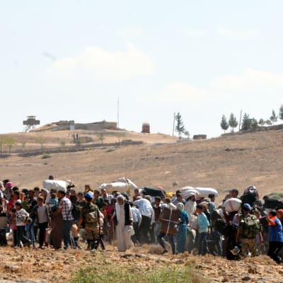 Kurder på flykt undan IS i Syrien överskrider gränsen till Turkiet.