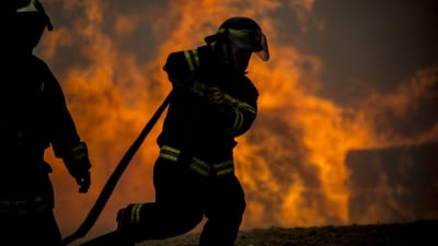 Chilensk brandman bland lågorna i Constitucion 26.1.2017