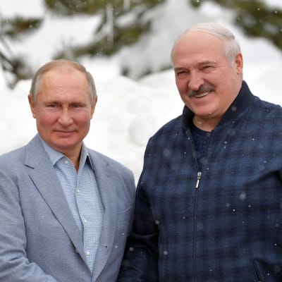 Rysslands president Vladimir Putin och Belarus president Aleksandr Lukasjenko skakar hand och tittar båda mot kameran.