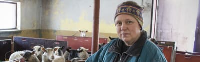 Bild på Helinä Leppänen med en skock får i bakgrunden
