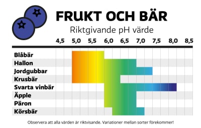 Diagram över frukt och bär och deras pH-värden.