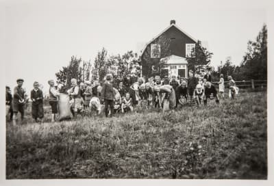 Vihtiläiset koululaiset keräävät viljan tähteitä koulukeittolan puuroon sota-aikana (1939–44).
