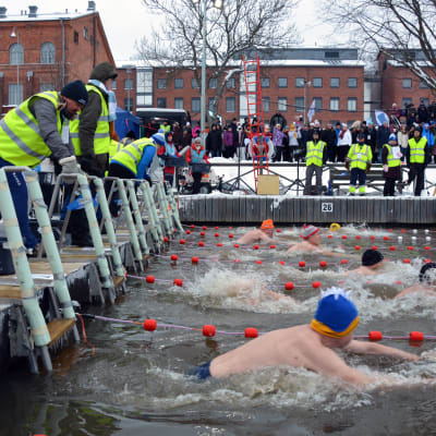 Herrarna startar på 25 meter bröstsim i de finländska mästerskapen i vintersimning,
