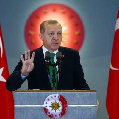 Oppositionen befarar att president Recep Tayyip Erdoğan får nästan oinskränkt makt om grundlagsändringen godkänns i en folkomröstning i april
