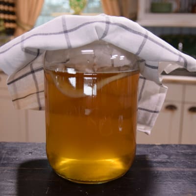 Kombucha i ett glaskärl med tygduk på.