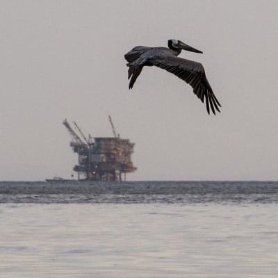 Oljeläcka utanför den kaliforniska kusten den 20 maj 2015.
