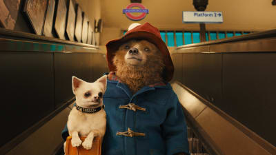 Björnen Paddington med en liten hund i sin väska.