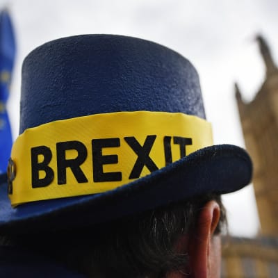 En EU-förespråkare som demonstrerade utanför parlamentet i London 24.10.2017.