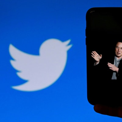  Elon Musk med Twitter-logotypen i bakgrunden.