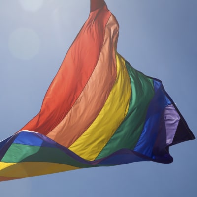 Regnbågsflagga vajar.