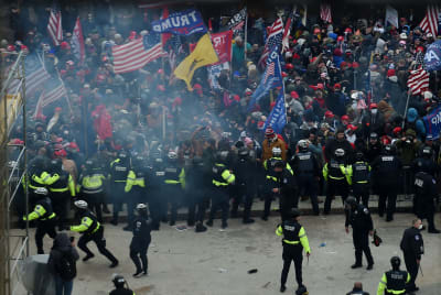 Demonstranter med flaggot.