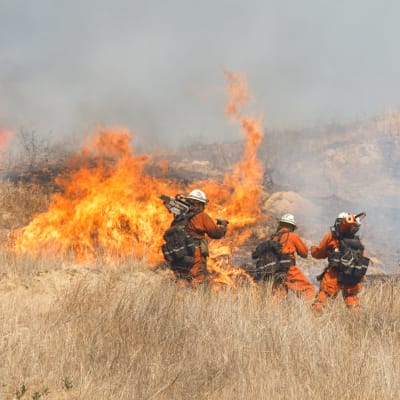 Brandmän vid stora lågor som slår upp på en slätt med högt torrt gräs.