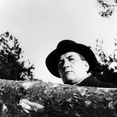 elmer diktonius,