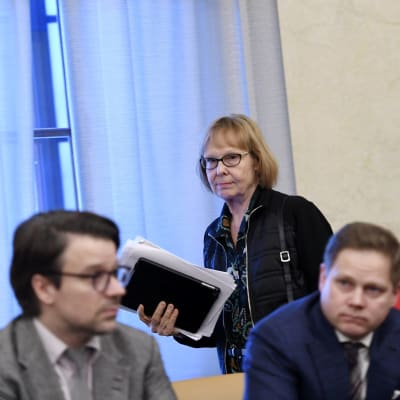 Annika Lapintie inför grundlagsutskottets presskonferens om vårdreformen.