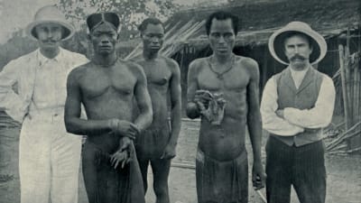 Tre ursprungsinvånare i Kongostaten visar upp avhuggna händer. De står bredvid två baptistiska missionärer som dokumenterade grymheter i Kongostaten. Bilden är tagen år 1904. 