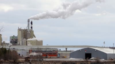 Stora Enson Veitsiluodon tehdas. Sellutehtaan piipuista tupruaa savua, etualalla näkyy vesialue.