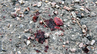 Blodspår på gatan efter dådet