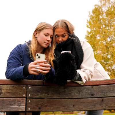 Två tonårsflickor med blont hår står bredvid varandra och kollar på sina smarttelefoner. Det är höst och de är utomhus.
