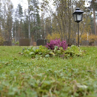 Pekka Nurmikallion kivi puuttuu hautapaikalta. 