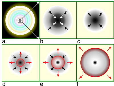 Ett schema som illustrerar händelseförloppet inuti en stjärna som genomgår en supernovaexplosion.