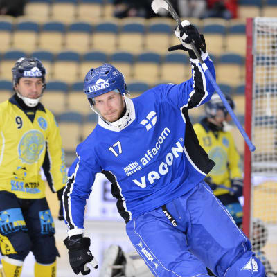 Tomi Hauska, bandy-VM 2014.