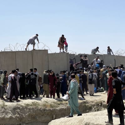 Joukko ihmisiä seisoo betonimuurin edessä. Muurille on kiivennyt ihmisiä. Yksi mies nostaa lasta muurin yli.