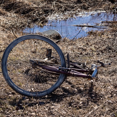 Bortslängd gammal rostig cykel. Den ligger på marken nära ett vattenfyllt dike i naturen.