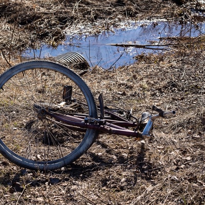 Bortslängd gammal rostig cykel. Den ligger på marken nära ett vattenfyllt dike i naturen.