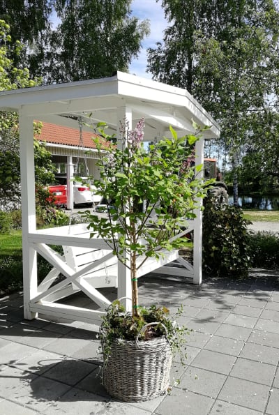 En vit trädgårdgunga i en trädgård.