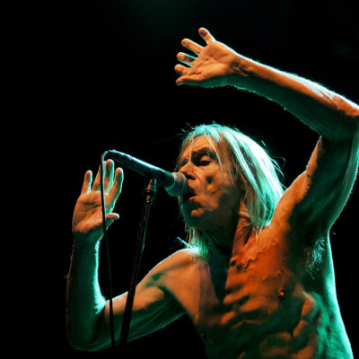 Iggy Pop