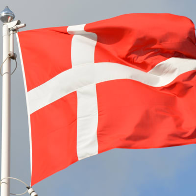Den danska flaggan.