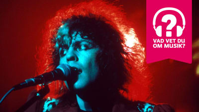 Marc Bolan sjunger i en mikrofon.